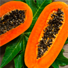 papaya seed extract - Vermixin Composition