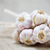 garlic extract - Vermixin Composition 